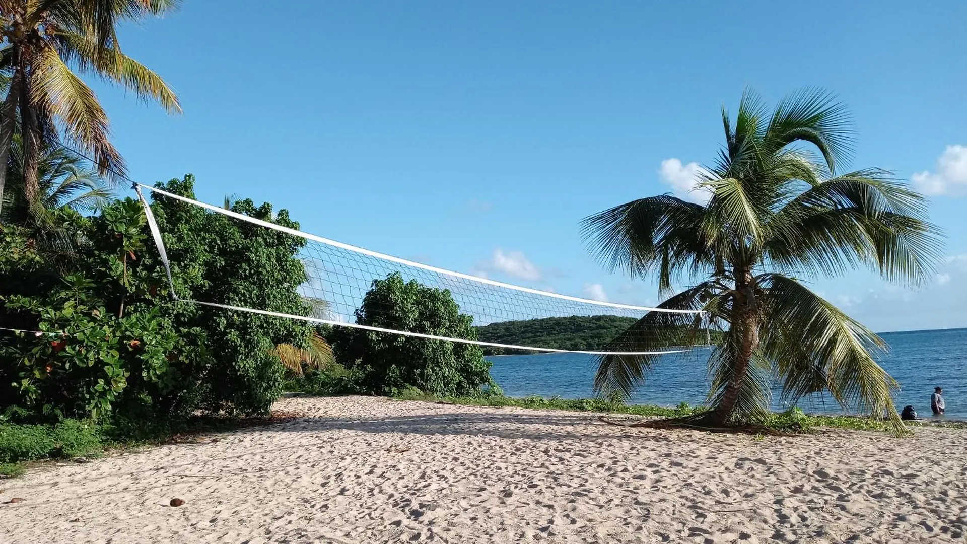 Studio 4 Casiguaya With Garden Access Vieques Puerto Rico